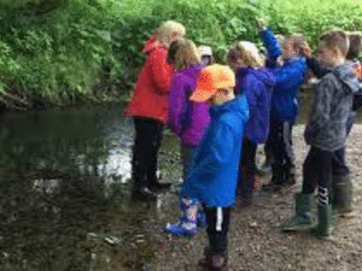 Image of Year 4 Proposed Visit to Cuerden Valley Park