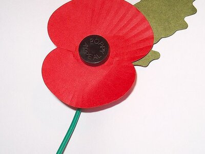 Image of Remembrance Day Poppy Appeal