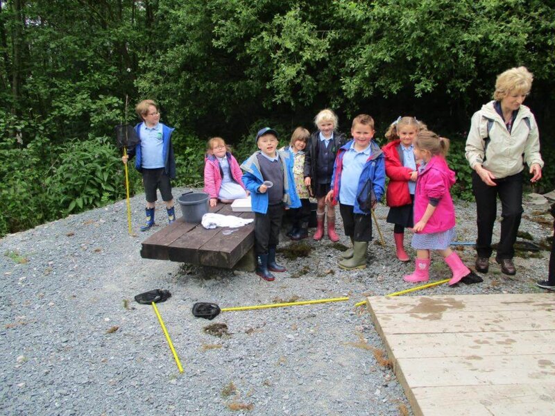 Image of Proposed Educational Visit for Year 2 - Springfields Nature Reserve 