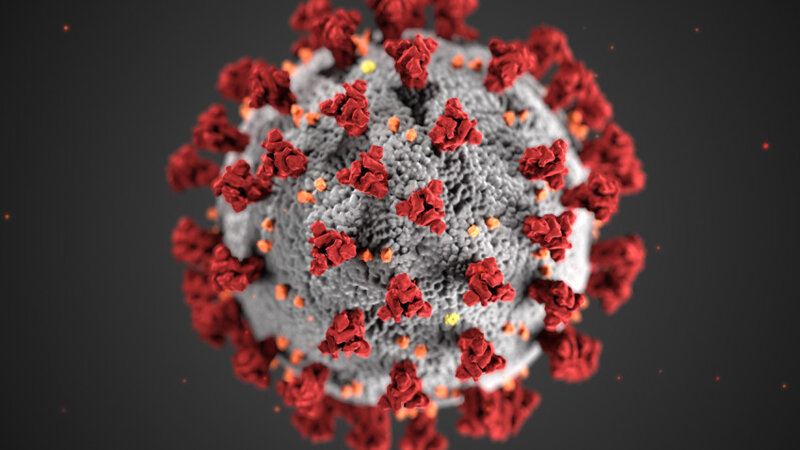 Image of Coronavirus Letter 13.3.20